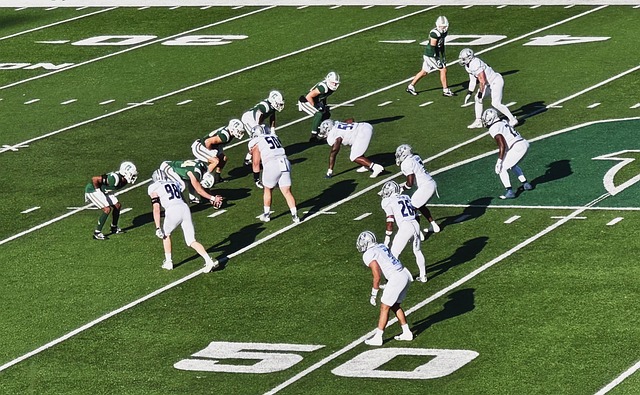 从个体情感 从个体情感