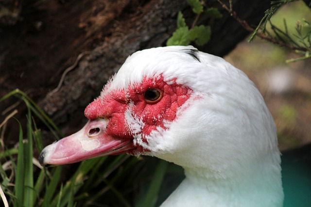 新时代领军 新时代领军