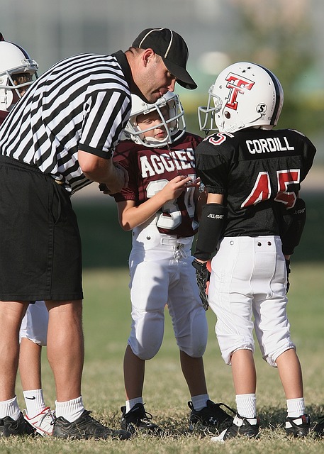 岛与四川的 岛与四川的