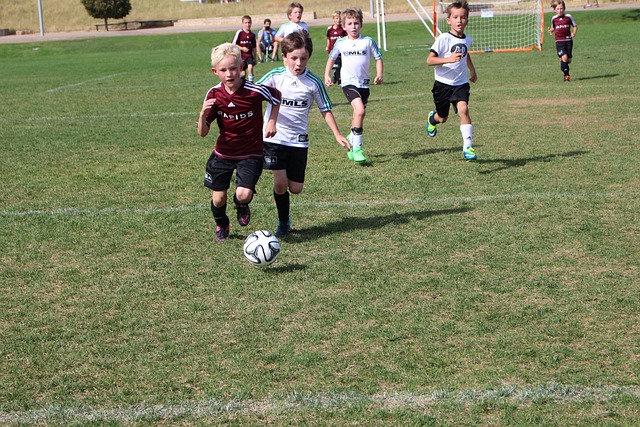 队的技战术 队的技战术