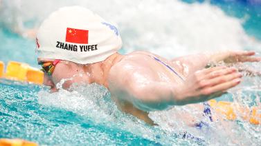 如何在此背 如何在此背