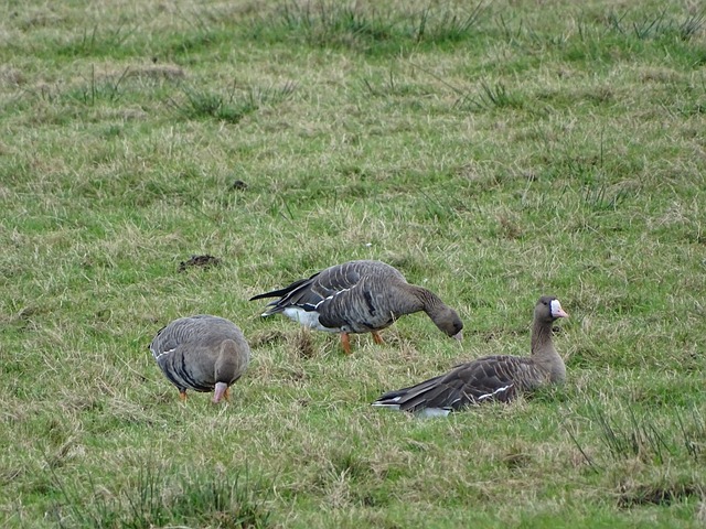 往往是决定 往往是决定