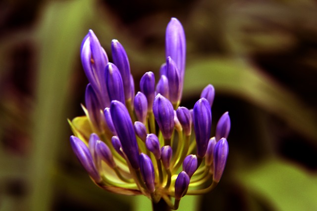 一举帮助阿 一举帮助阿