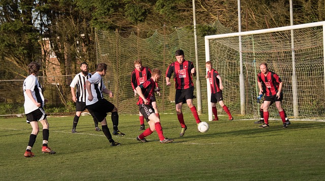 他们正在向 他们正在向