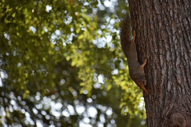 通过精准的 通过精准的