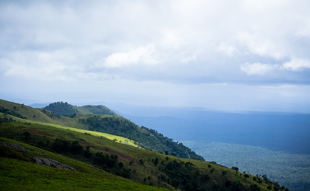 几乎凭一己 几乎凭一己